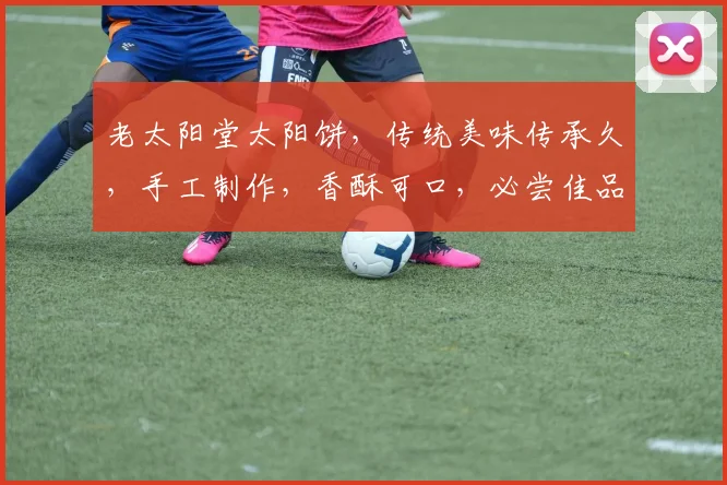 老太阳堂太阳饼，传统美味传承久，手工制作，香酥可口，必尝佳品，三重口感惊喜连连。