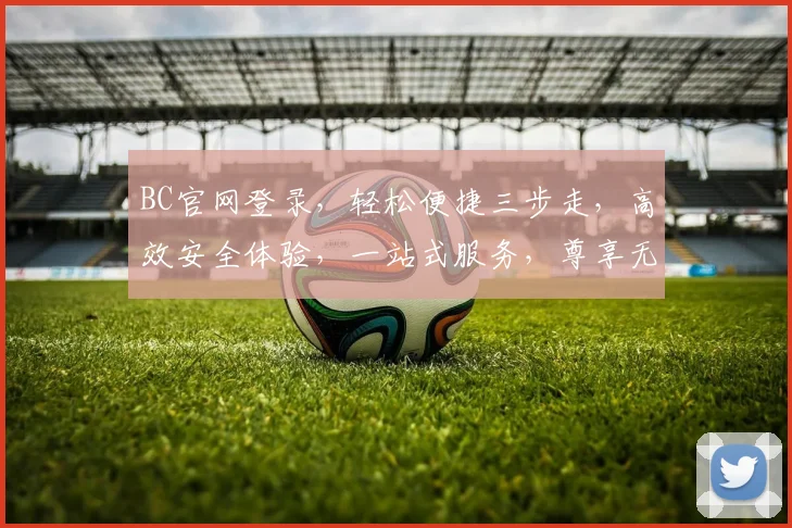 BC官网登录，轻松便捷三步走，高效安全体验，一站式服务，尊享无忧